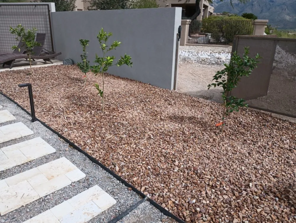 Professional yard maintenance experts serving Tucson, AZ - Leah's Landscaping