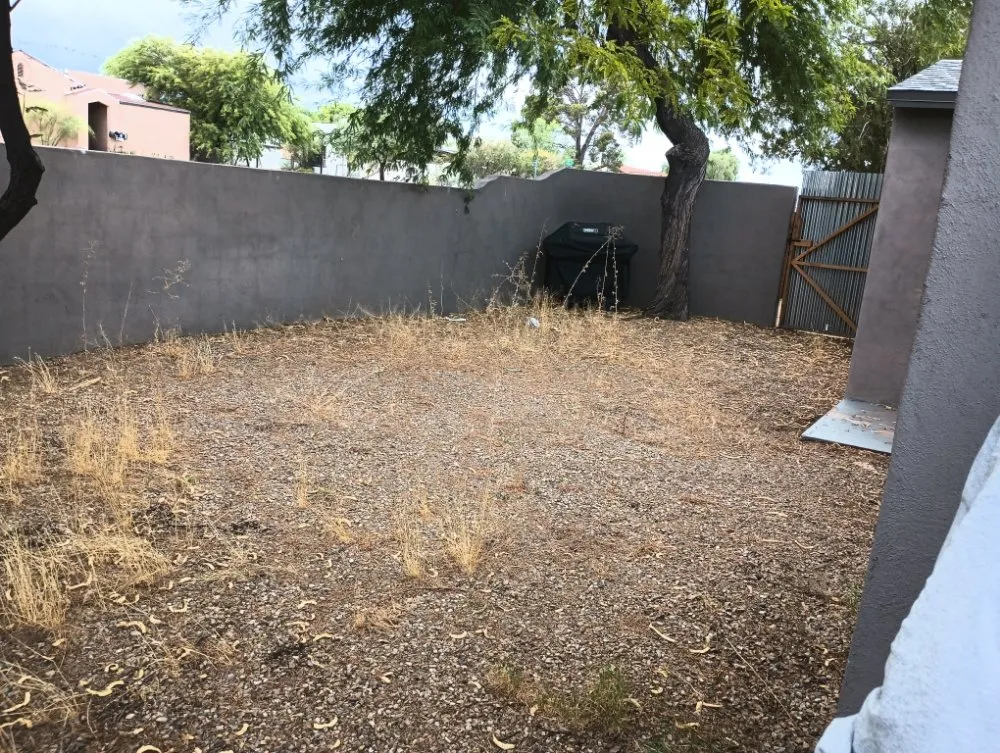 Top-rated landscape installation in Tucson, AZ by Leah's Landscaping