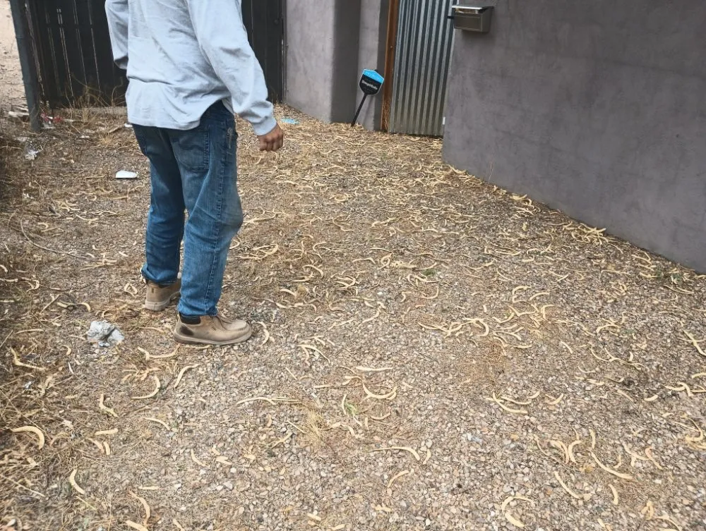 Reliable lawn mowing service experts serving Tucson, AZ - Leah's Landscaping