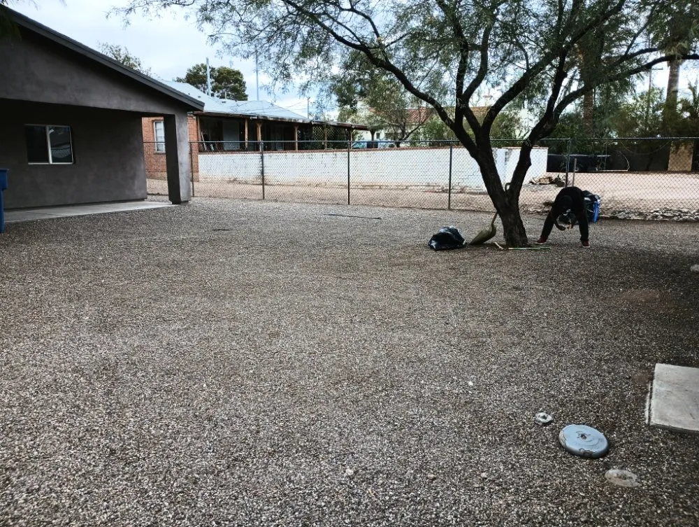 Local landscape installation in Tucson, AZ by Leah's Landscaping