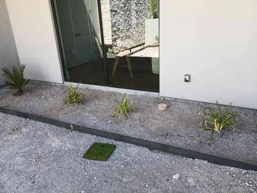 Top-rated lawn care service experts serving Tucson, AZ - Leah's Landscaping