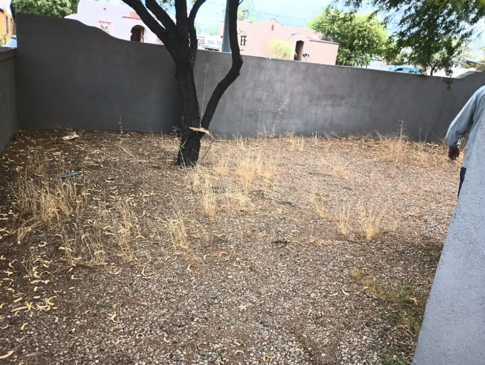 Local lawn mowing service in Tucson, AZ - Leah's Landscaping