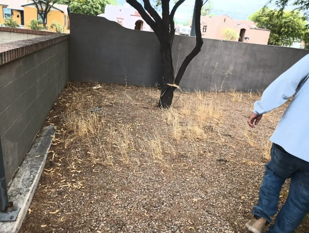 Reliable lawn mowing service in Tucson, AZ - Leah's Landscaping