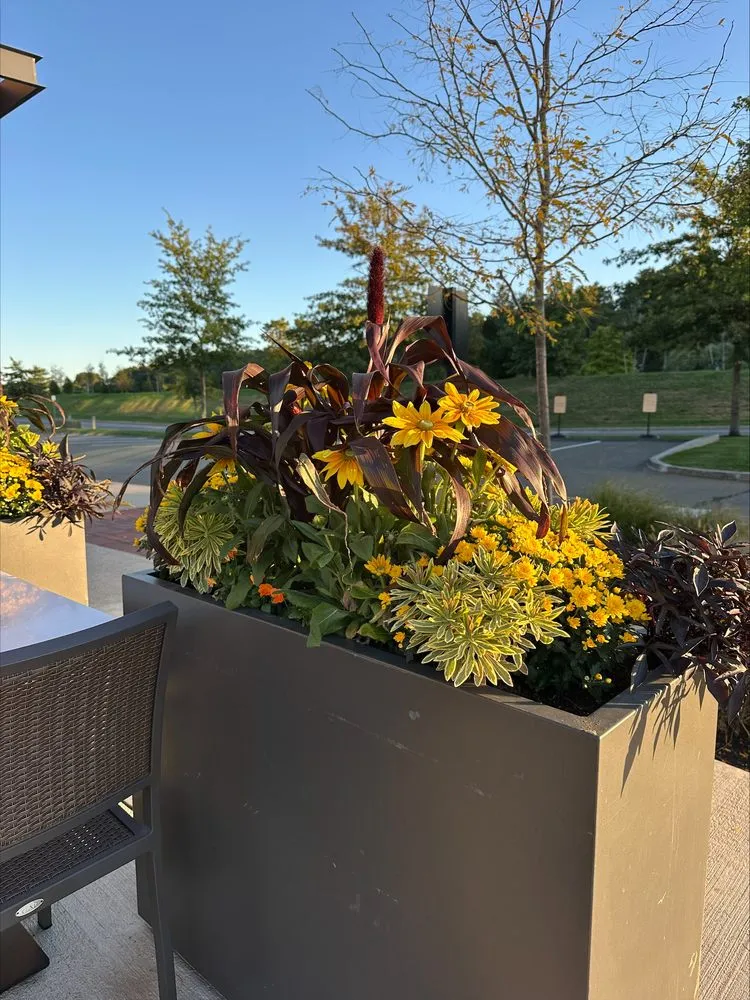 Expert yard maintenance in Lynn, MA by Leahy Landscaping