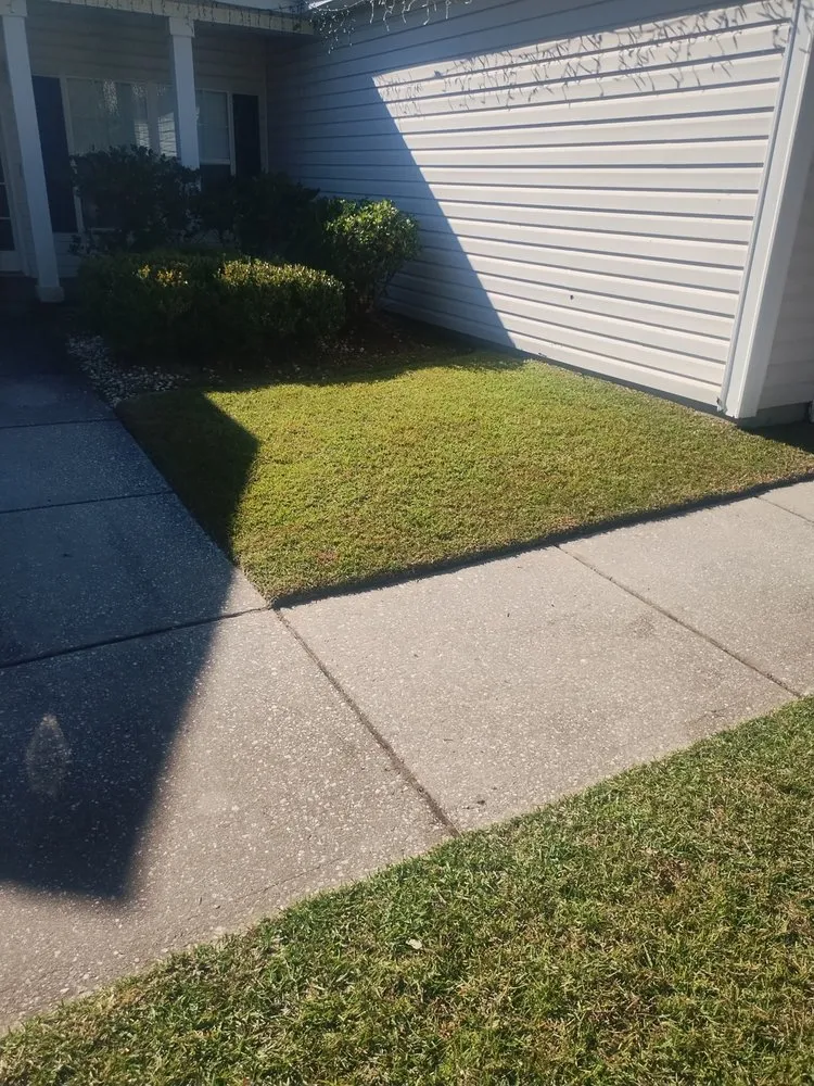 Local residential landscaping experts serving North Charleston, SC - Leal Landscape