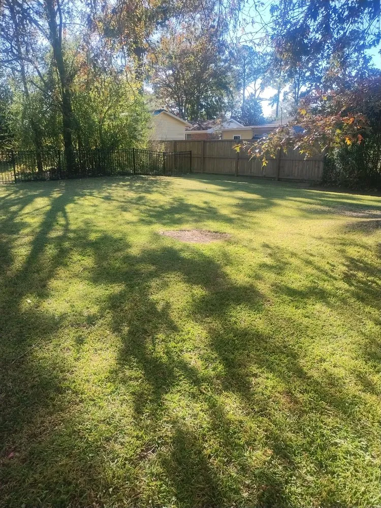 Affordable outdoor landscaping for homes across North Charleston, SC - Leal Landscape