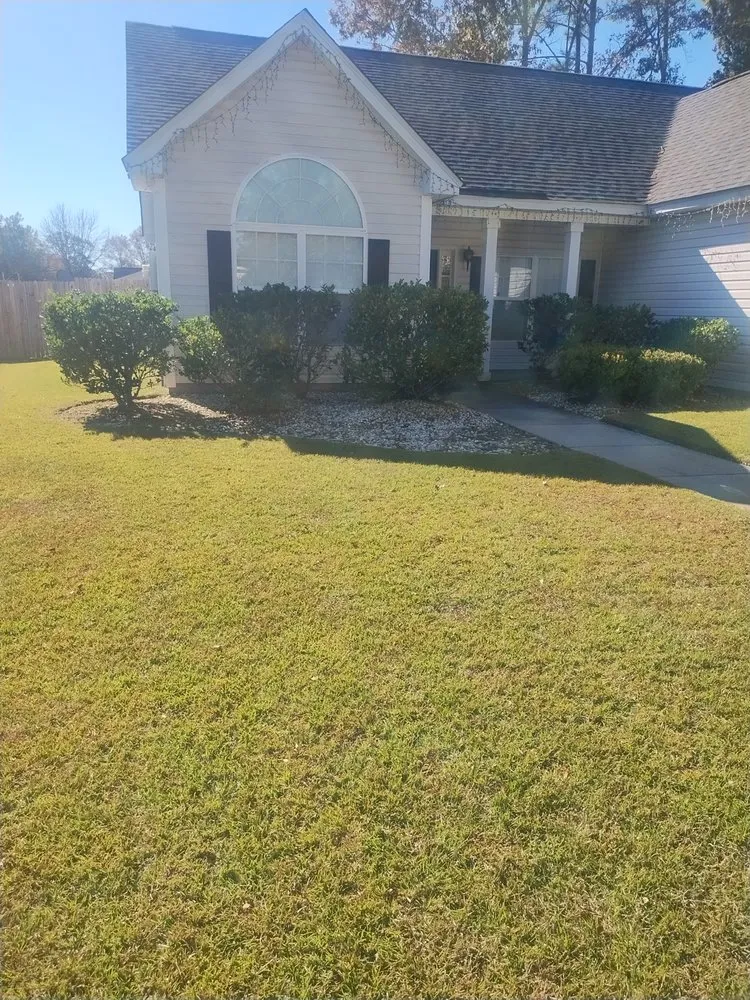 Custom yard maintenance experts serving North Charleston, SC - Leal Landscape