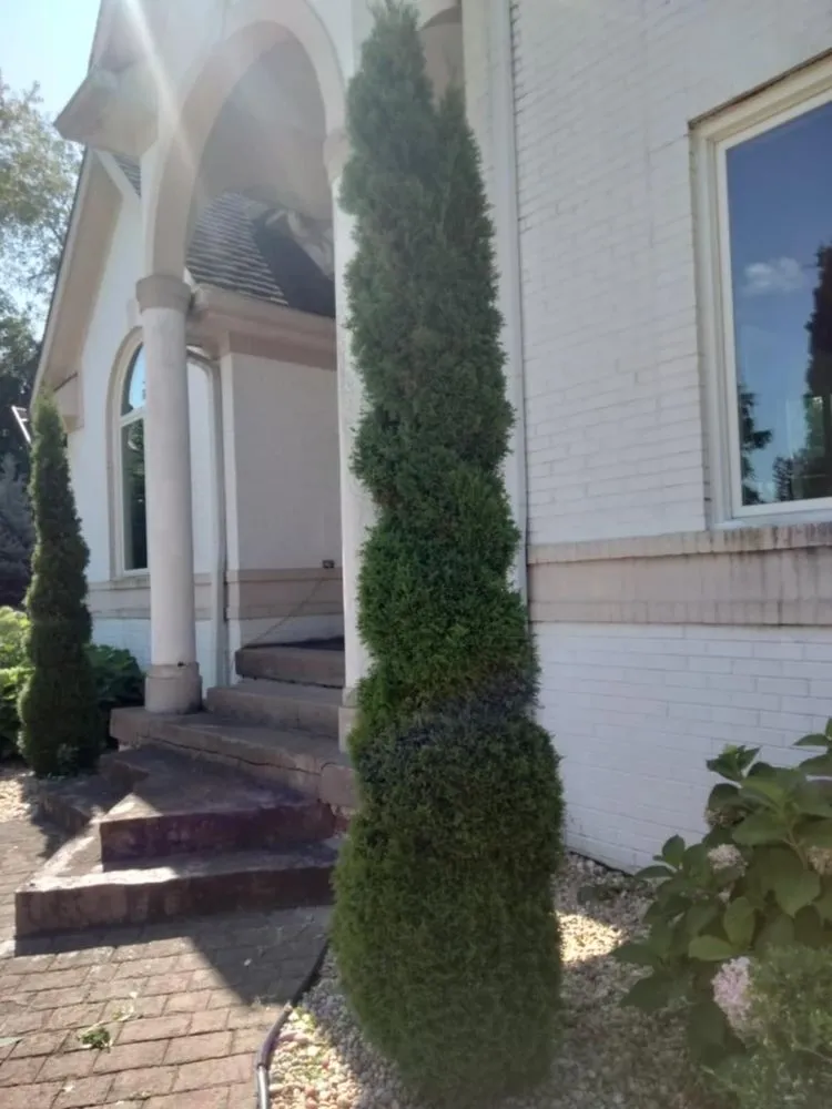 Trusted landscape installation near you across Indianapolis, IN - Leal Landscaping