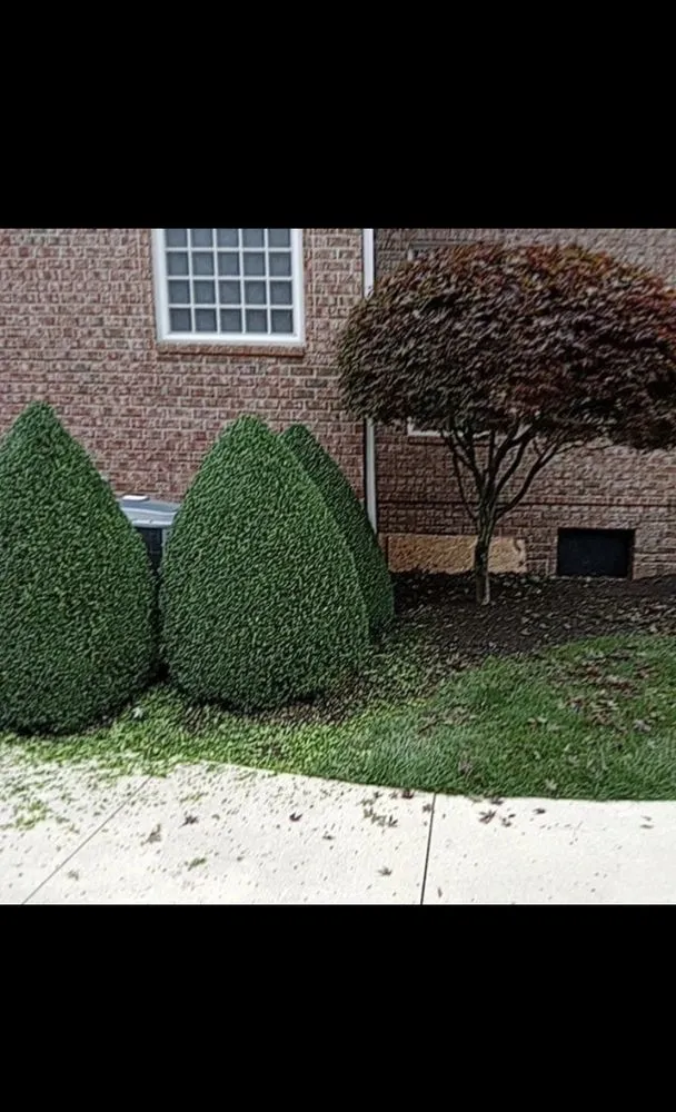 Reliable residential landscaping with custom design across Indianapolis, IN - Leal Landscaping