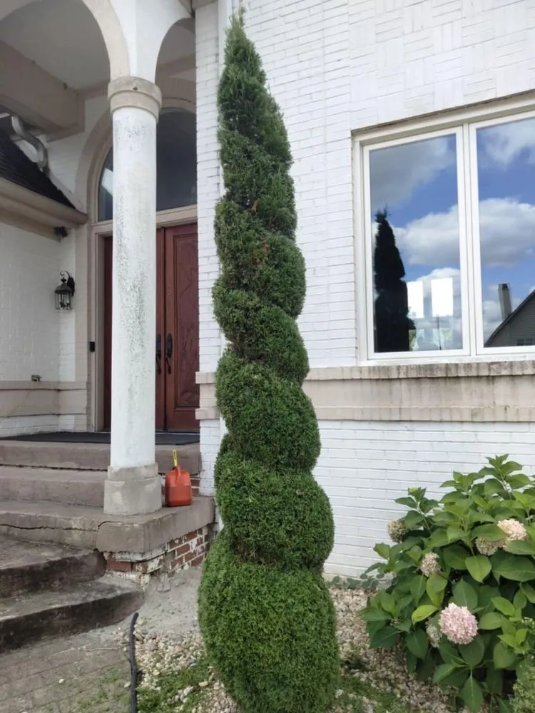 Trusted yard maintenance with custom design across Indianapolis, IN - Leal Landscaping