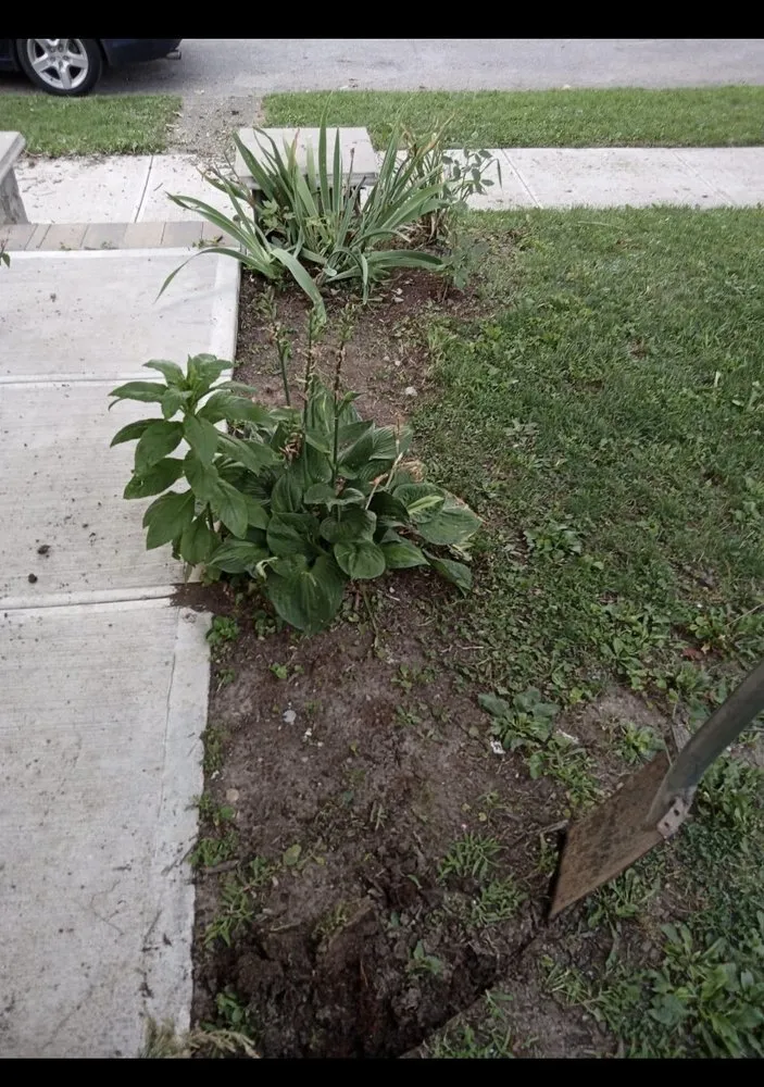 Local outdoor landscaping experts serving Indianapolis, IN - Leal Landscaping