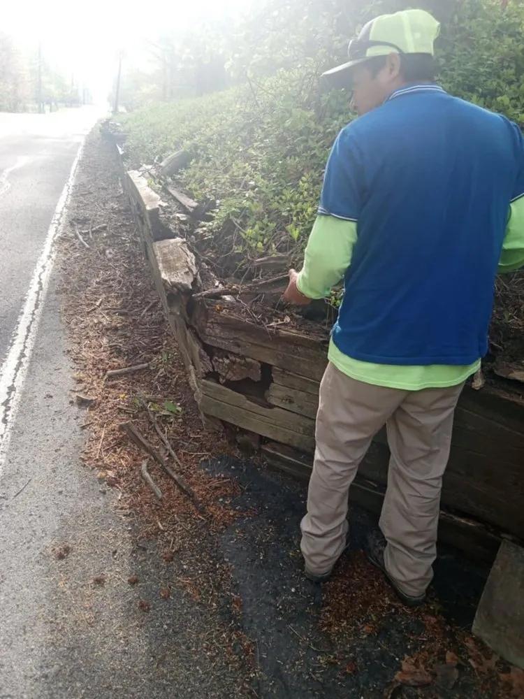 Professional landscape installation in Indianapolis, IN - Leal Landscaping