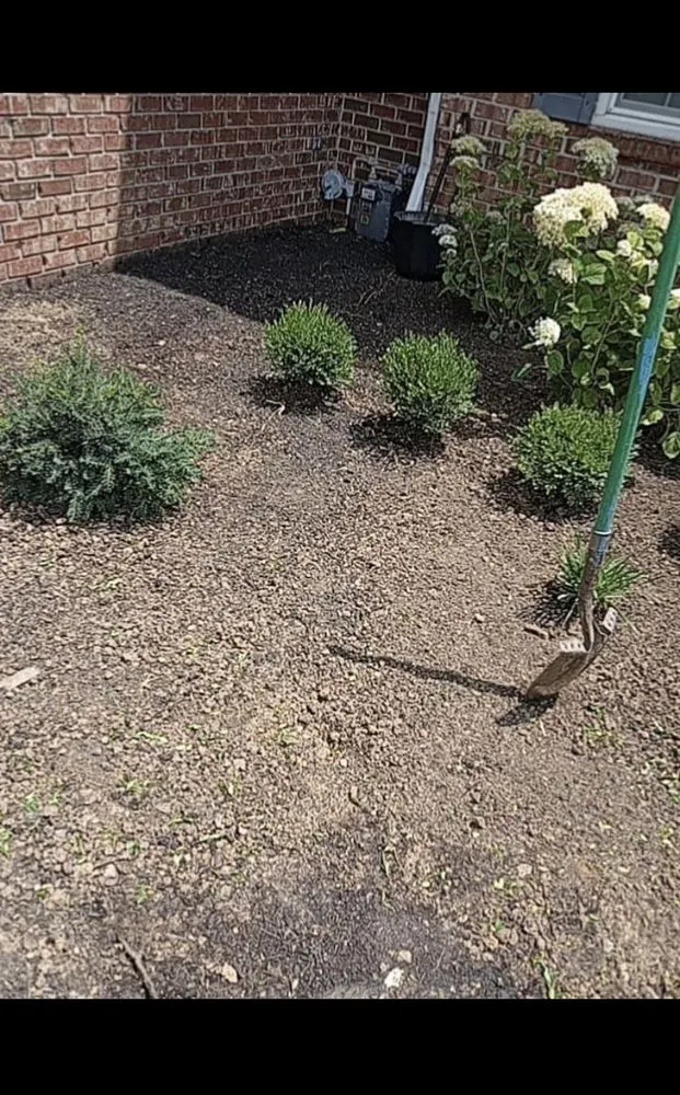 Trusted lawn care service for homes across Indianapolis, IN - Leal Landscaping