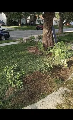 Leal Landscaping Logo