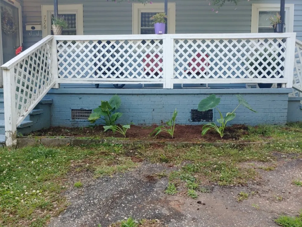 Expert yard maintenance experts serving Boiling Springs, SC - Leal Lawn Care