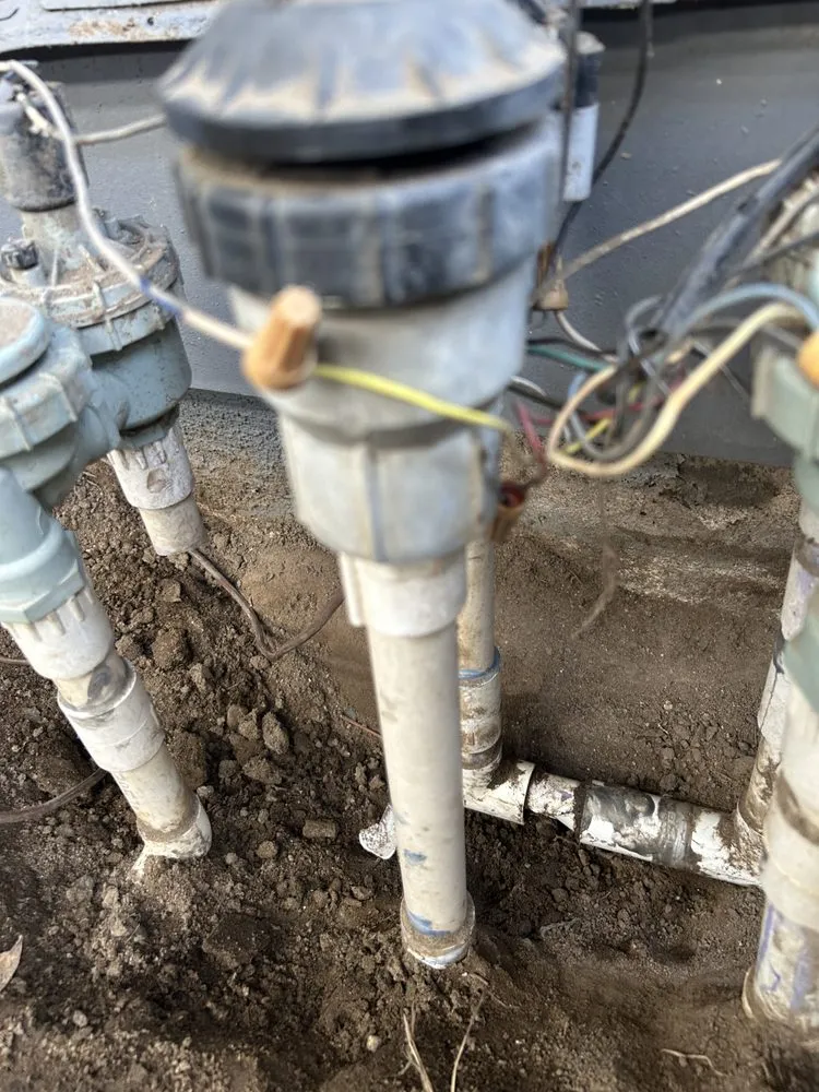 Reliable lawn care service in Huntington Beach, CA by Leal's Landscaping