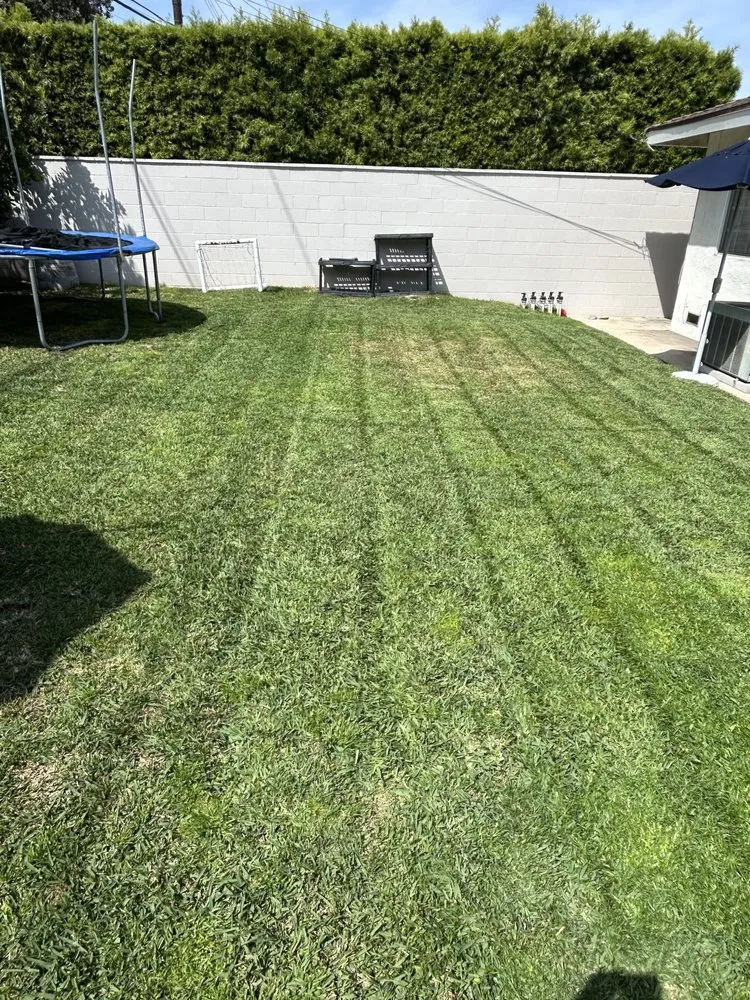 Custom garden landscaping experts serving Huntington Beach, CA - Leal's Landscaping