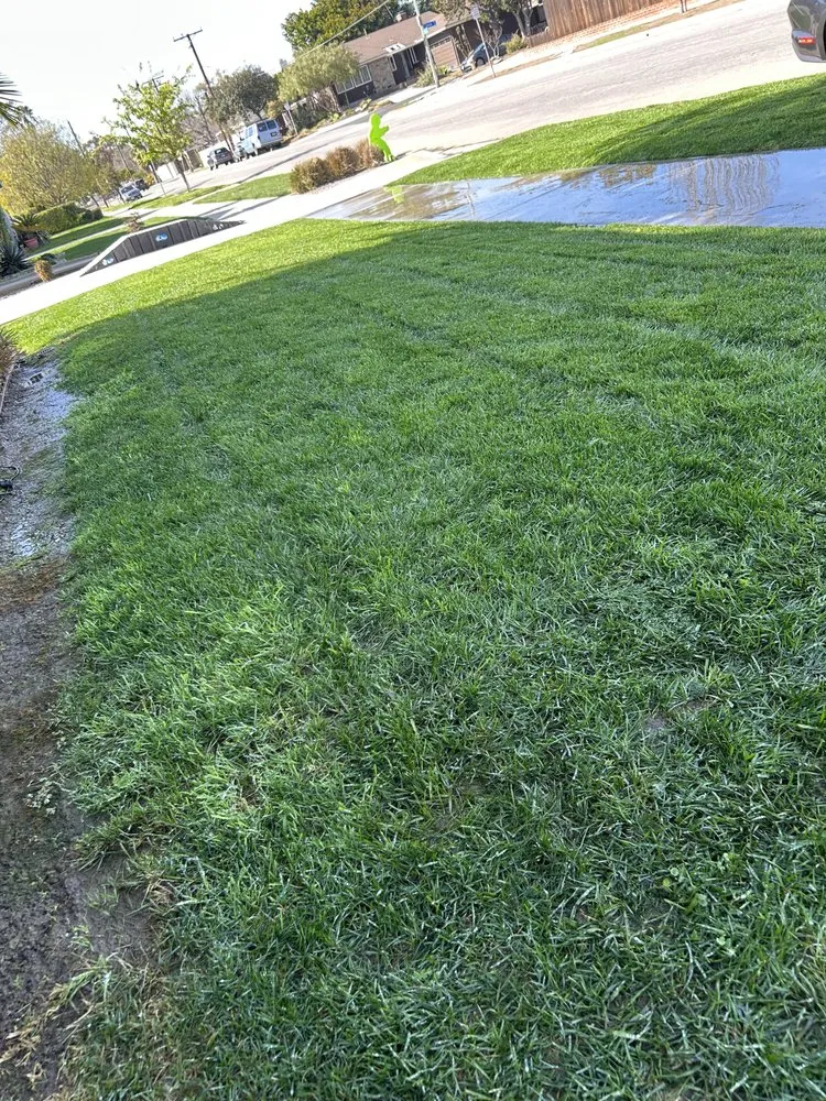 Expert yard maintenance for year-round maintenance across Huntington Beach, CA - Leal's Landscaping