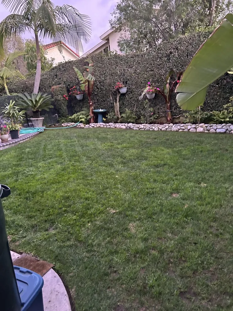 Custom yard cleanup service for residential properties in Huntington Beach, CA by Leal's Landscaping