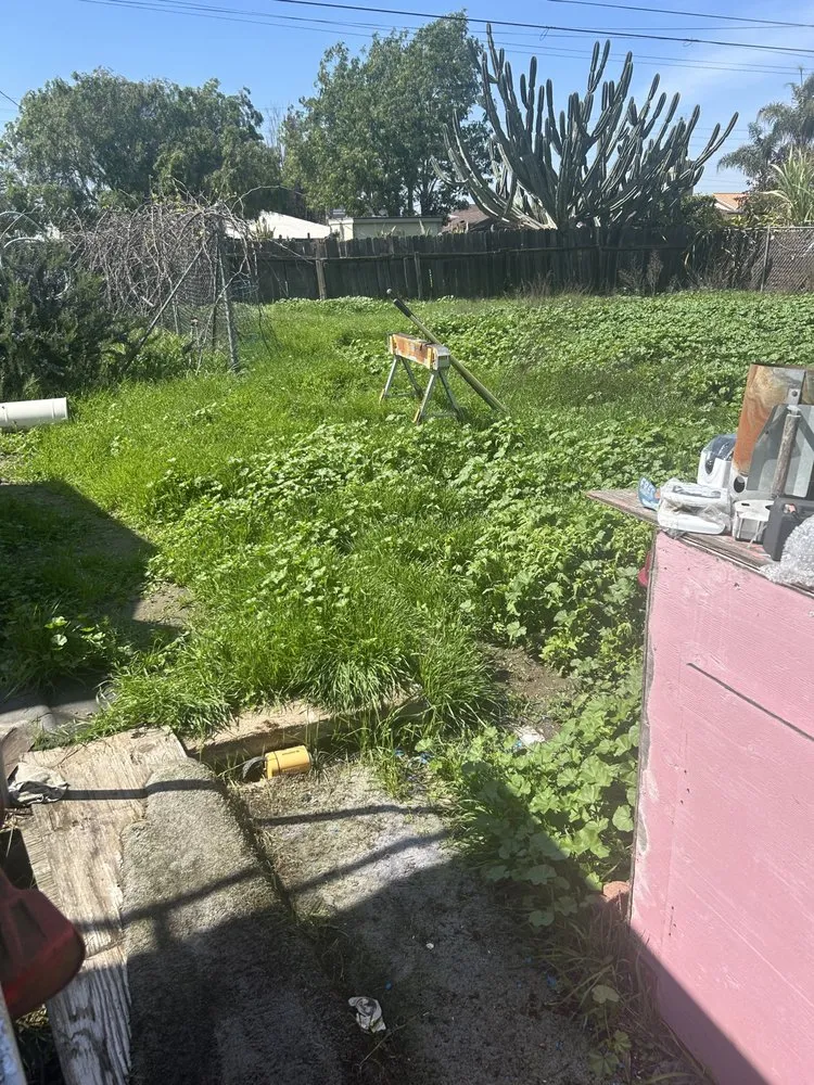 Professional residential landscaping in Huntington Beach, CA by Leal's Landscaping