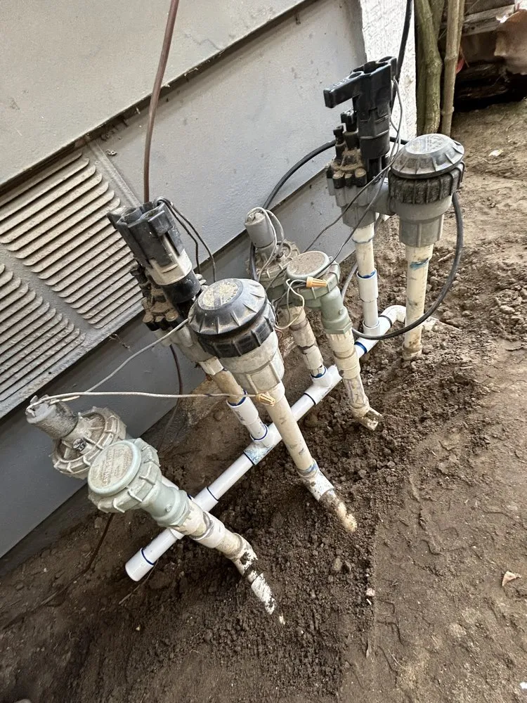 Professional landscape installation for beautiful yards across Huntington Beach, CA - Leal's Landscaping