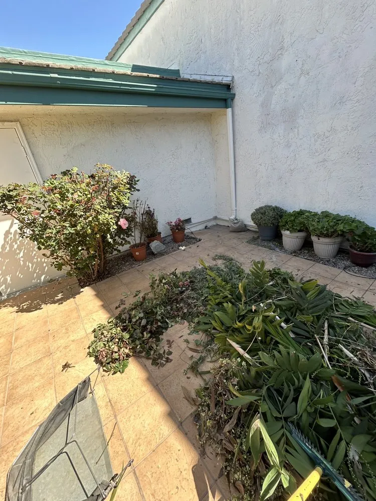 Trusted lawn mowing service in Huntington Beach, CA - Leal's Landscaping
