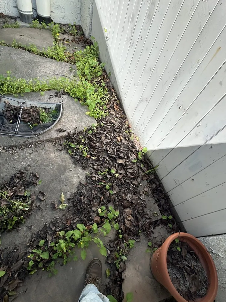 Local yard cleanup service in Huntington Beach, CA - Leal's Landscaping