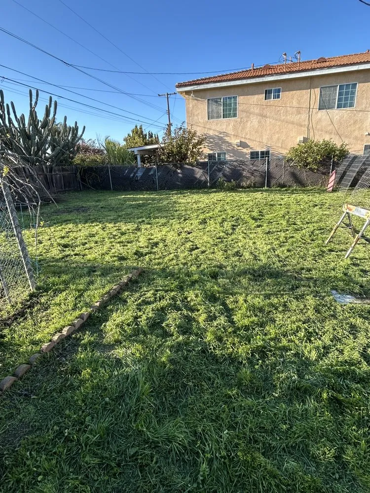 Professional yard cleanup service in Huntington Beach, CA - Leal's Landscaping