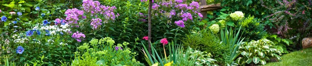 Professional lawn care service for homes in Bonney Lake, WA by Leander Johnson