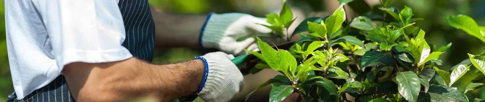 Trusted garden landscaping experts serving Bonney Lake, WA - Leander Johnson