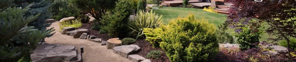 Top-rated yard cleanup service in Bonney Lake, WA by Leander Johnson