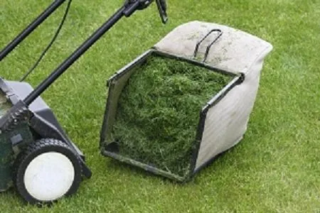 Leander Lawn & Landscape Logo