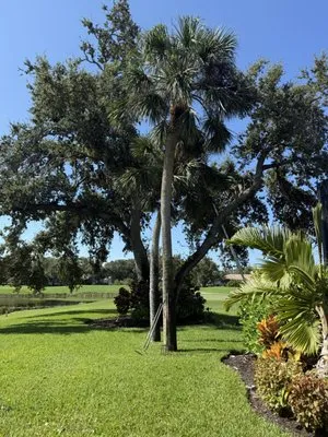 Leandro Landscaping Logo