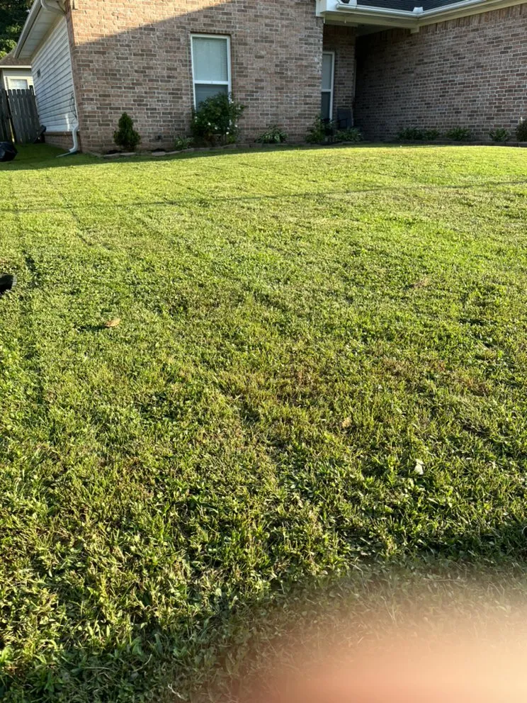 Top-rated outdoor landscaping in Benton, AR - Leap Mowing and More