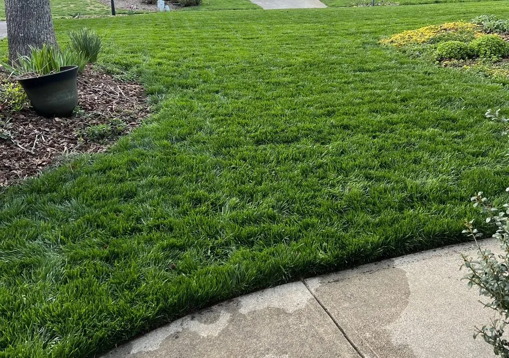 Top-rated landscape installation for outdoor upgrades in Fuquay-Varina, NC by Leapfrog Landcare