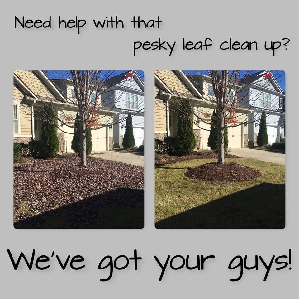 Professional lawn care service for beautiful yards in Fuquay-Varina, NC by Leapfrog Landcare
