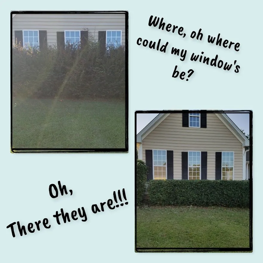 Top-rated residential landscaping for homes in Fuquay-Varina, NC by Leapfrog Landcare
