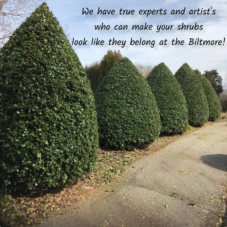 Local yard cleanup service in Fuquay-Varina, NC by Leapfrog Landcare