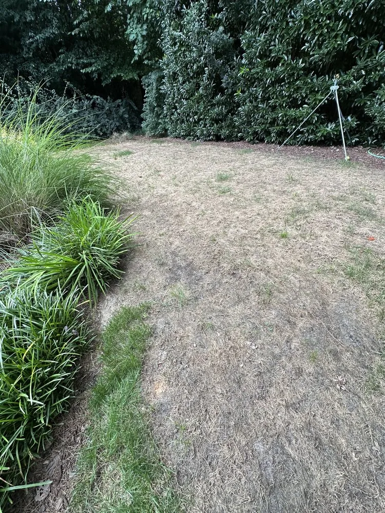 Affordable lawn care service in Fuquay-Varina, NC by Leapfrog Landcare
