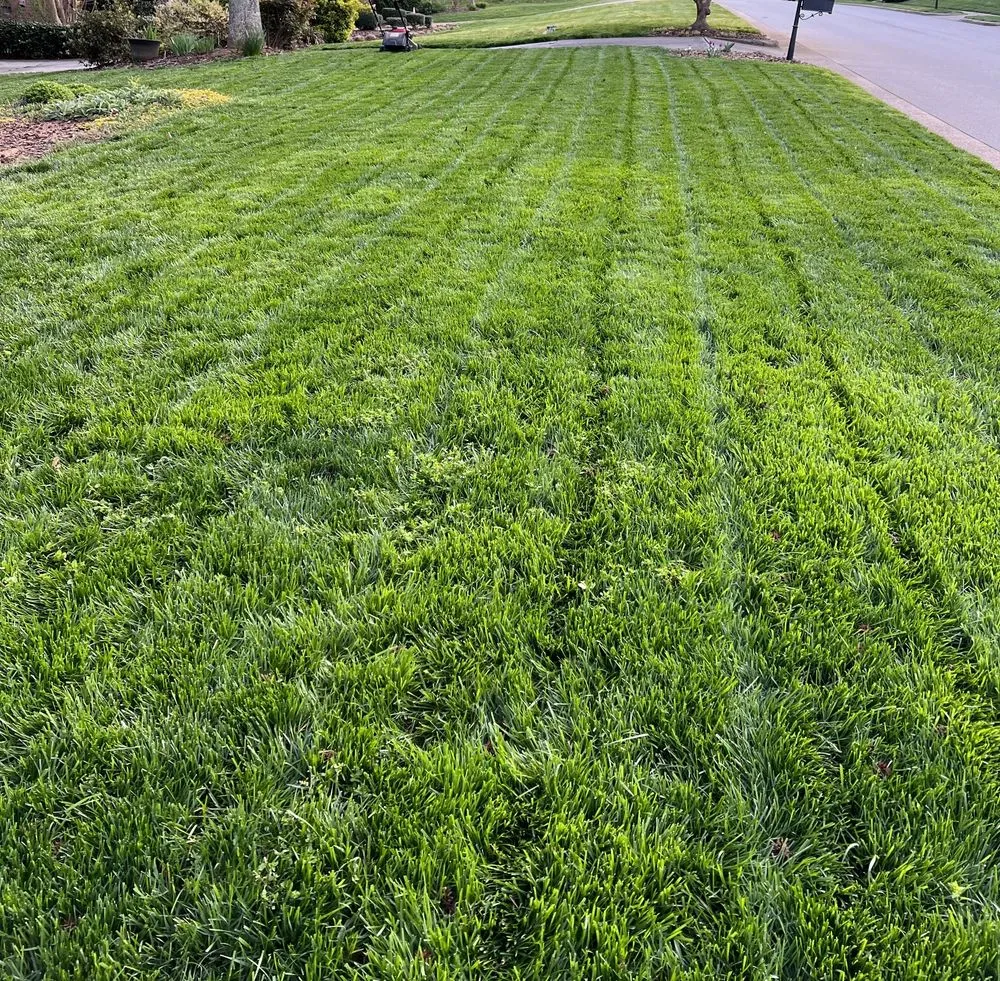 Reliable yard cleanup service in Fuquay-Varina, NC by Leapfrog Landcare