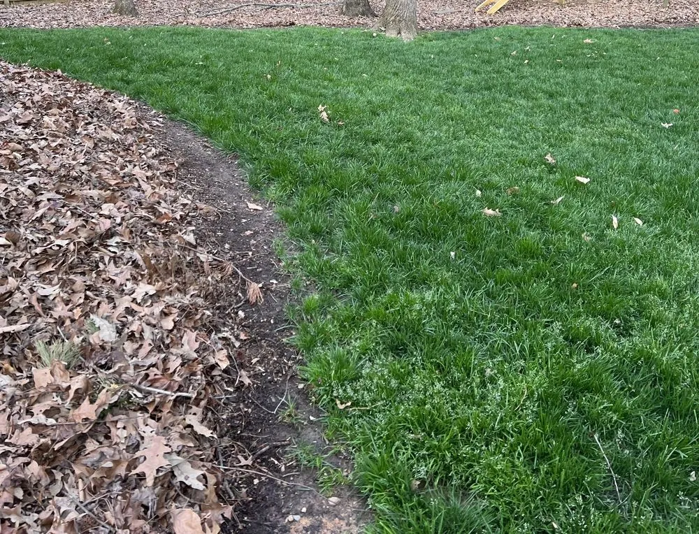 Affordable lawn mowing service in Fuquay-Varina, NC by Leapfrog Landcare