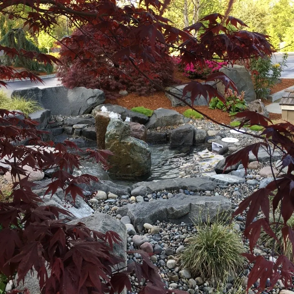 Reliable lawn care service in Olympia, WA by LeapFrog Landscaping