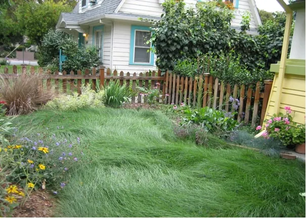 Custom landscape design with custom design across San Jose, CA - Leaping Designs