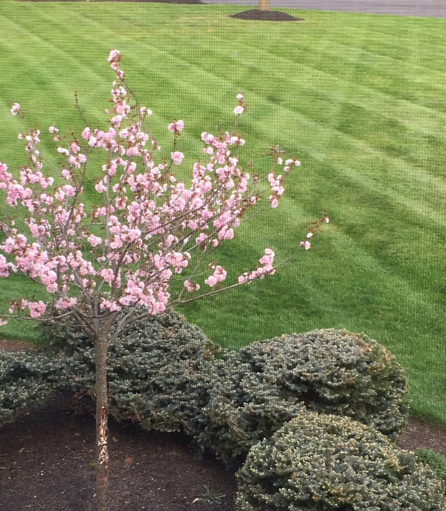 Expert landscape installation for beautiful yards in Titusville, NJ by Lear's Landscaping