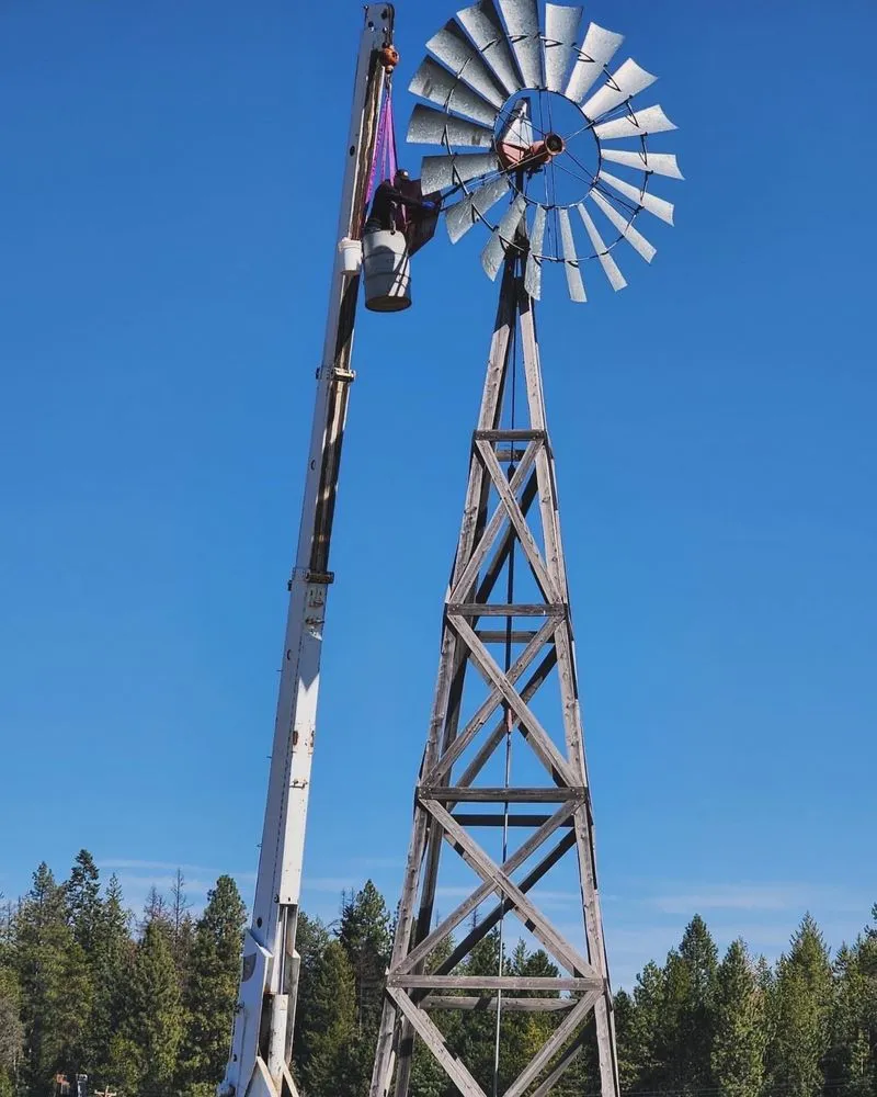 Expert lawn care service for homes across Dalton Gardens, ID - Leas Contracting Services