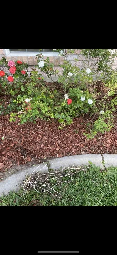 Local landscape design in Kenner, LA - Lea's Lawncare Maintenance