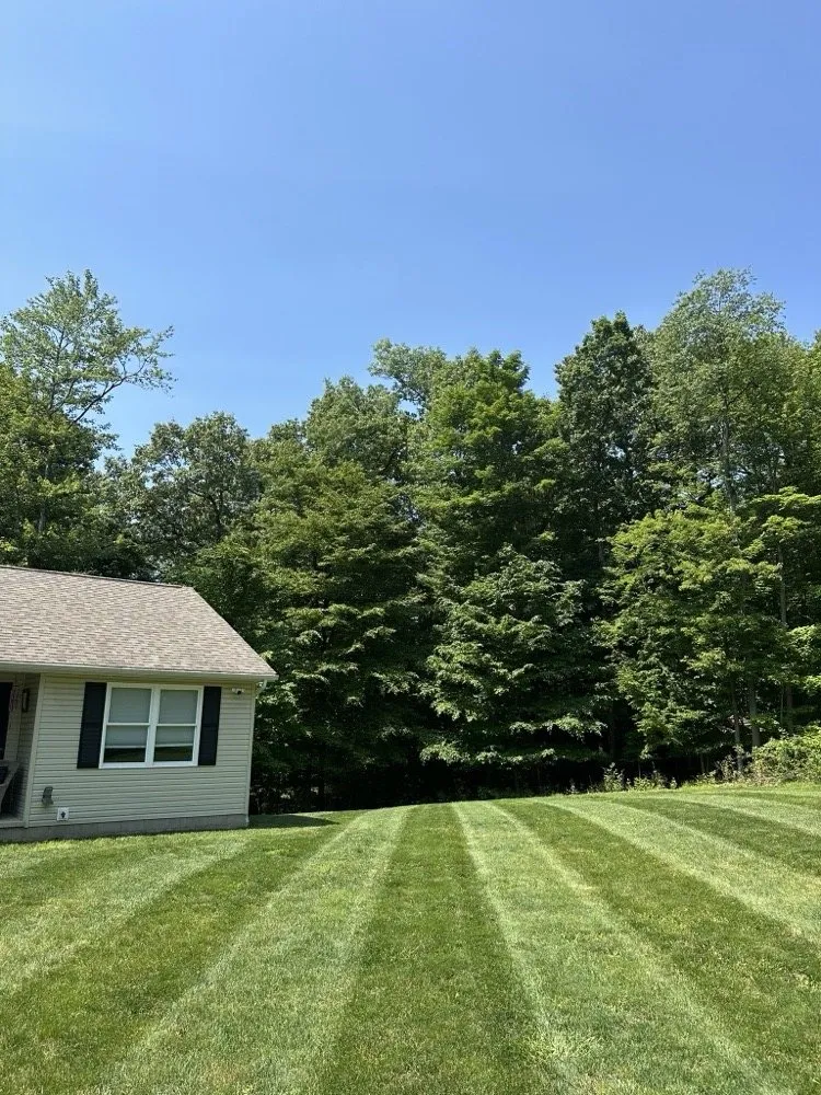 Custom lawn care service with custom design in Mount Vernon, OH by Leather Head Lawn Service