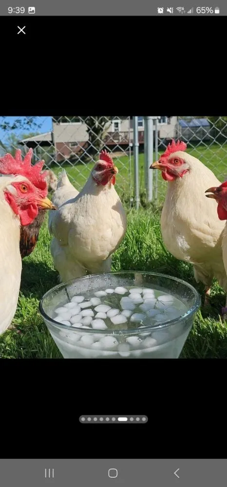 Expert residential landscaping experts serving Mansfield, OH - Leatherneck Lawn and Landscape