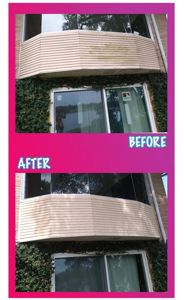 Top-rated yard cleanup service experts serving Mount Dora, FL - Leave It To Laci