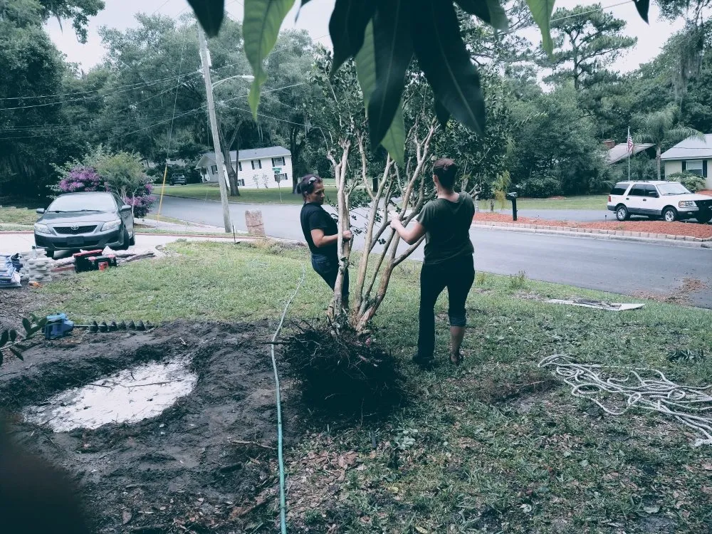 Trusted yard cleanup service in Mount Dora, FL by Leave It To Laci